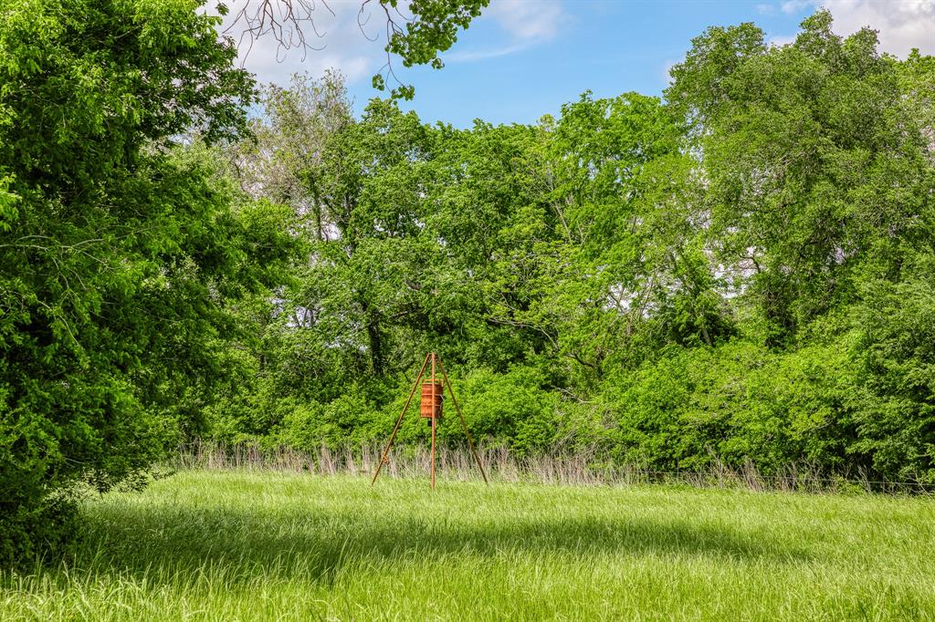 3109 Highway 105, Brenham, Texas image 22