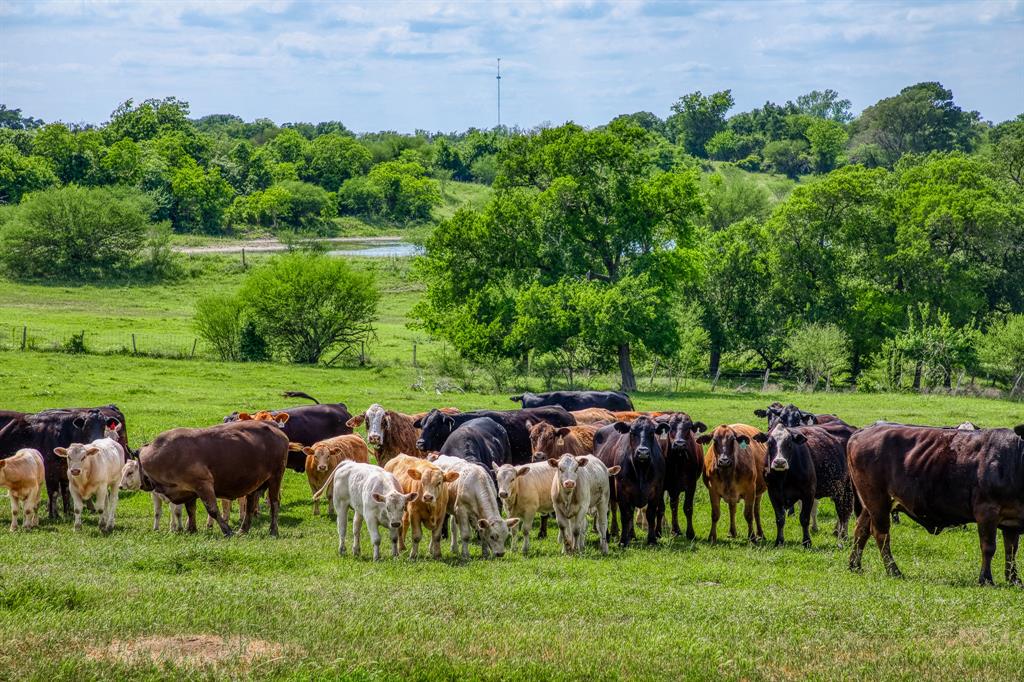 3109 Highway 105, Brenham, Texas image 32