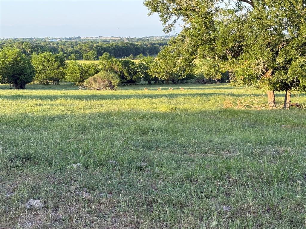 3109 Highway 105, Brenham, Texas image 17