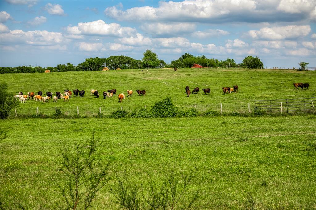 3109 Highway 105, Brenham, Texas image 15