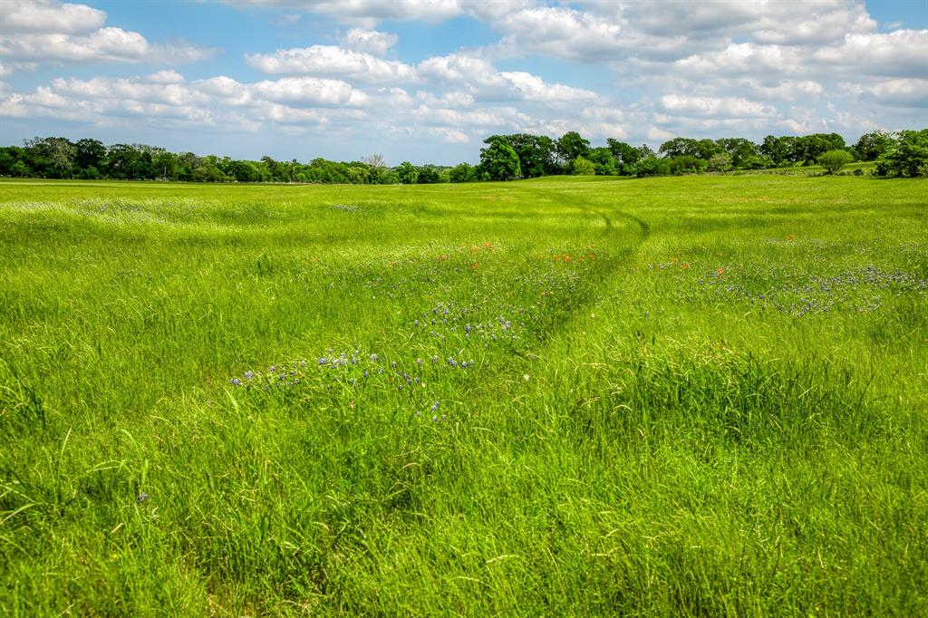 3109 Highway 105, Brenham, Texas image 28