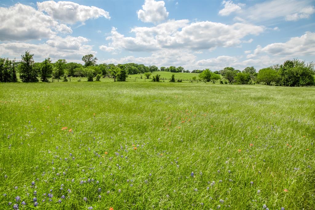 3109 Highway 105, Brenham, Texas image 27