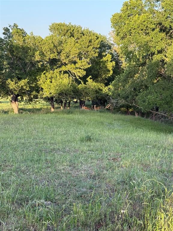 3109 Highway 105, Brenham, Texas image 14
