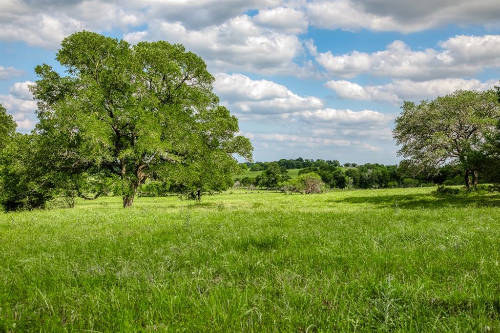 3109 Highway 105, Brenham, Texas image 1