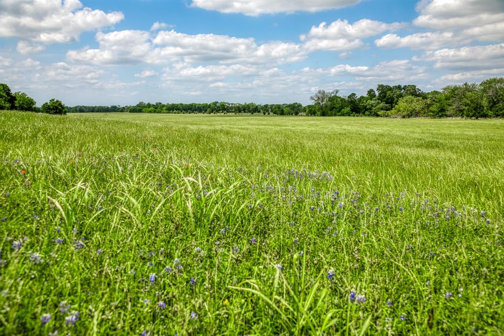3109 Highway 105, Brenham, Texas image 11