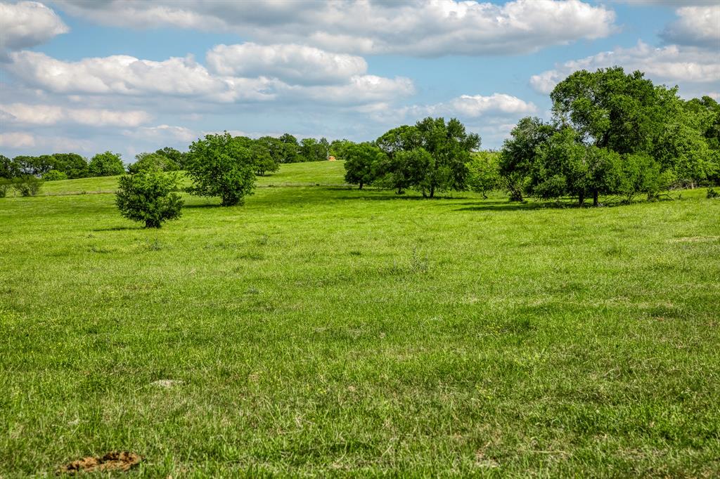 3109 Highway 105, Brenham, Texas image 5