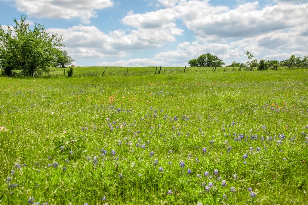 3109 Highway 105, Brenham, Texas image 25