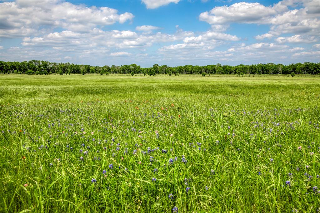 3109 Highway 105, Brenham, Texas image 30