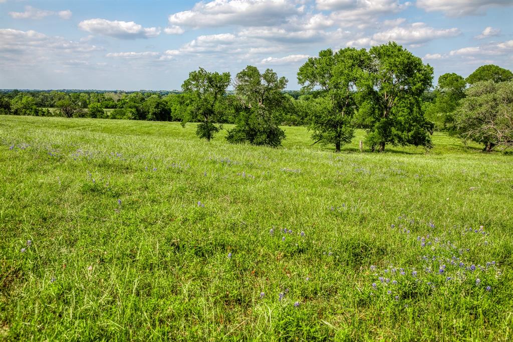 3109 Highway 105, Brenham, Texas image 13