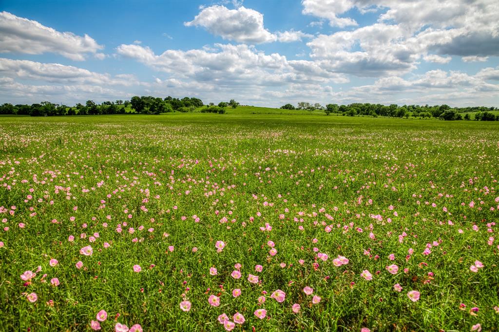 3109 Highway 105, Brenham, Texas image 3