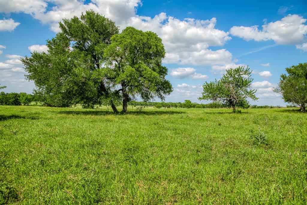 3109 Highway 105, Brenham, Texas image 35