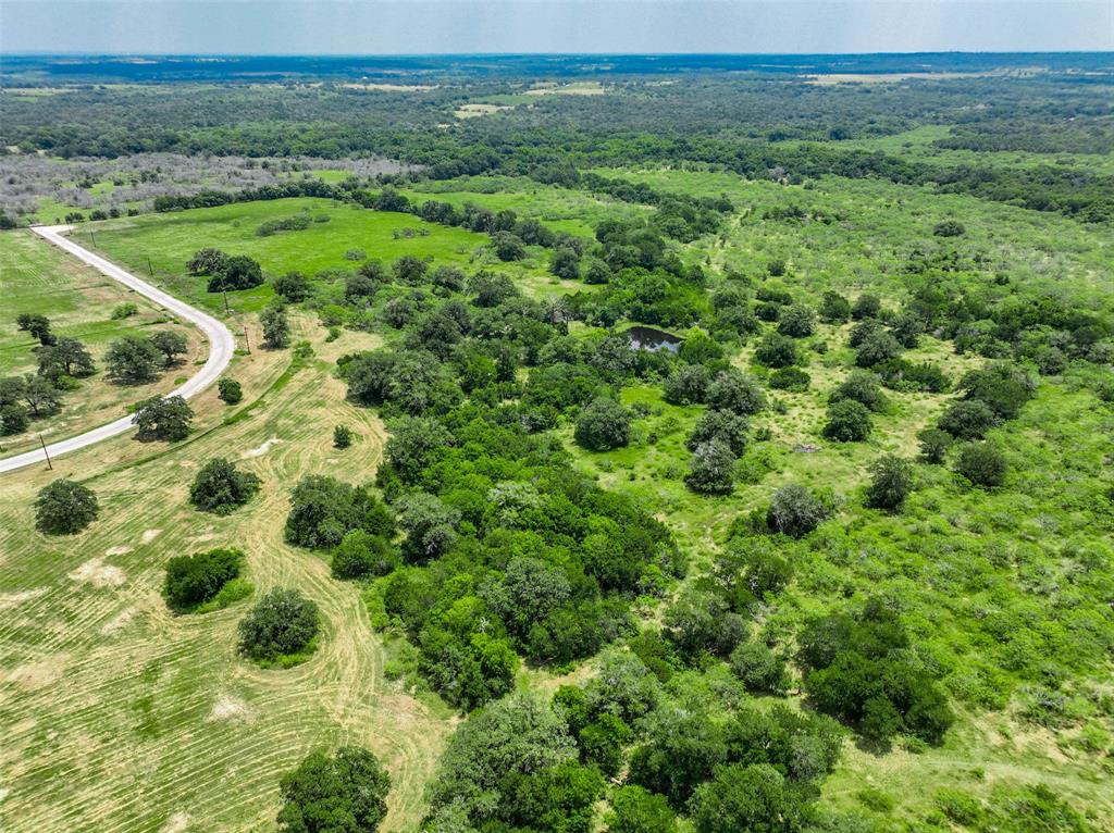 159 Starlight Path Path, Red Rock, Texas image 19