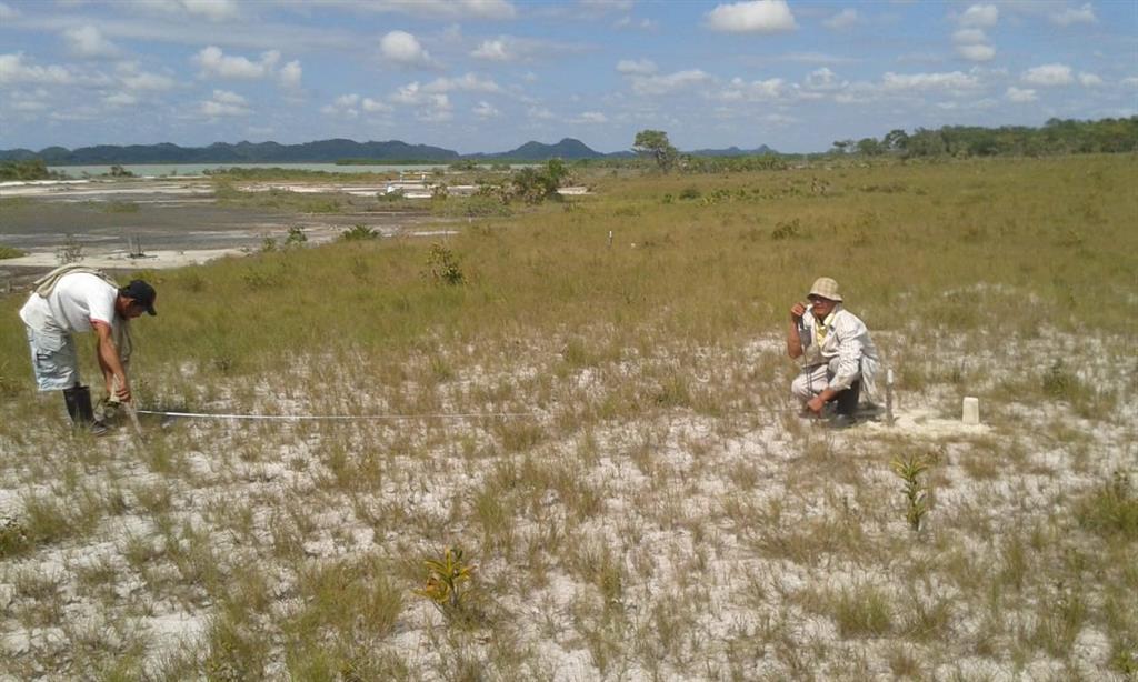 100 Acres Beach Front - Gales Point