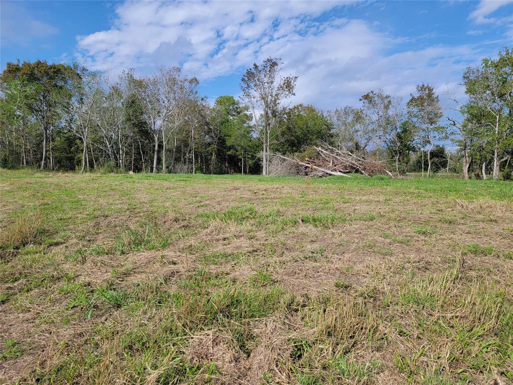 County Road 203, Liverpool, Texas image 3