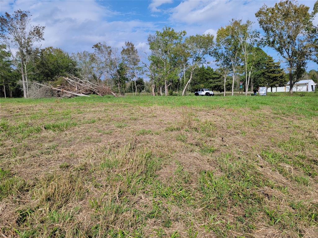 County Road 203, Liverpool, Texas image 4