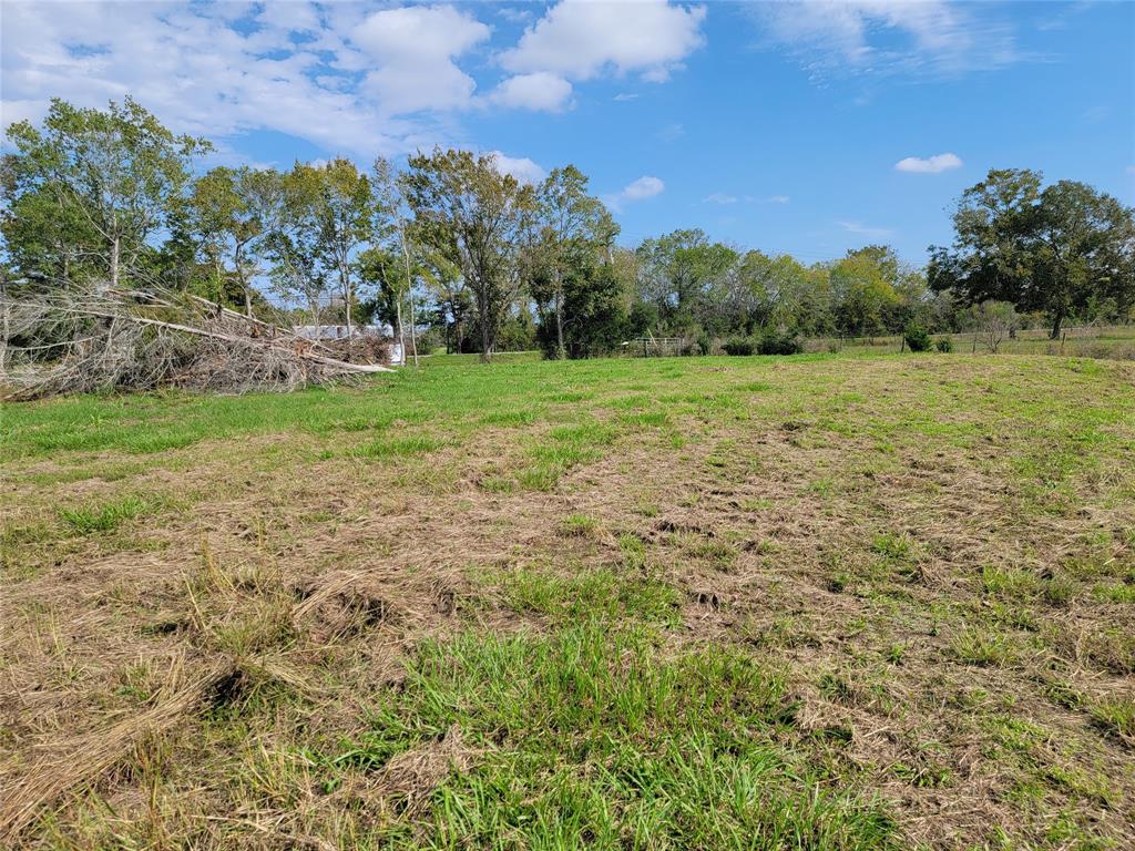 County Road 203, Liverpool, Texas image 5