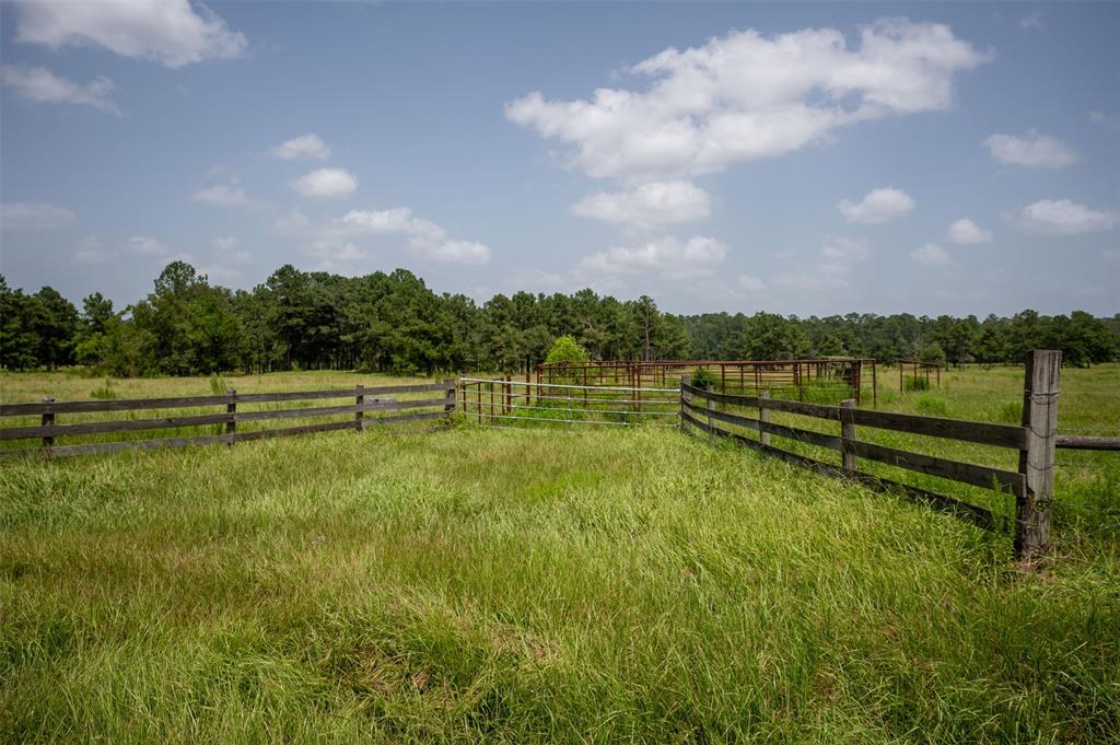 County Road 4800, Warren, Texas image 3