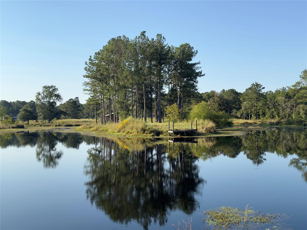 County Road 4800, Warren, Texas image 1