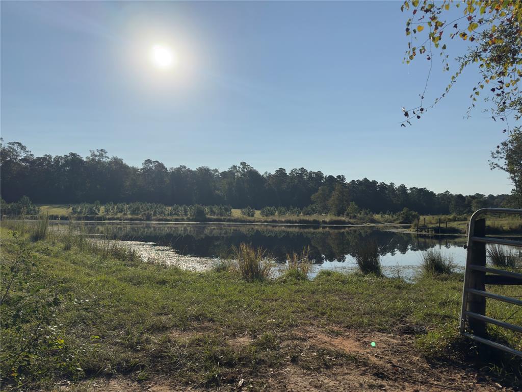 County Road 4800, Warren, Texas image 9