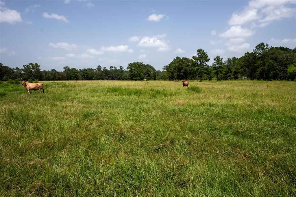 County Road 4800, Warren, Texas image 4