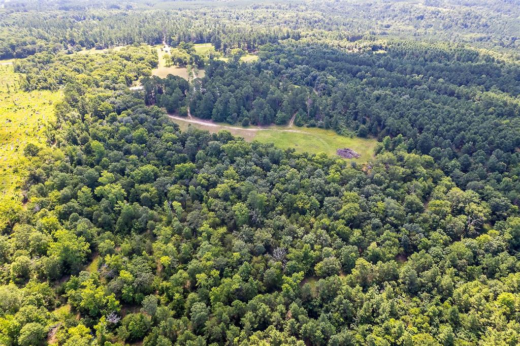 980 County Road 1705, Jacksonville, Texas image 10