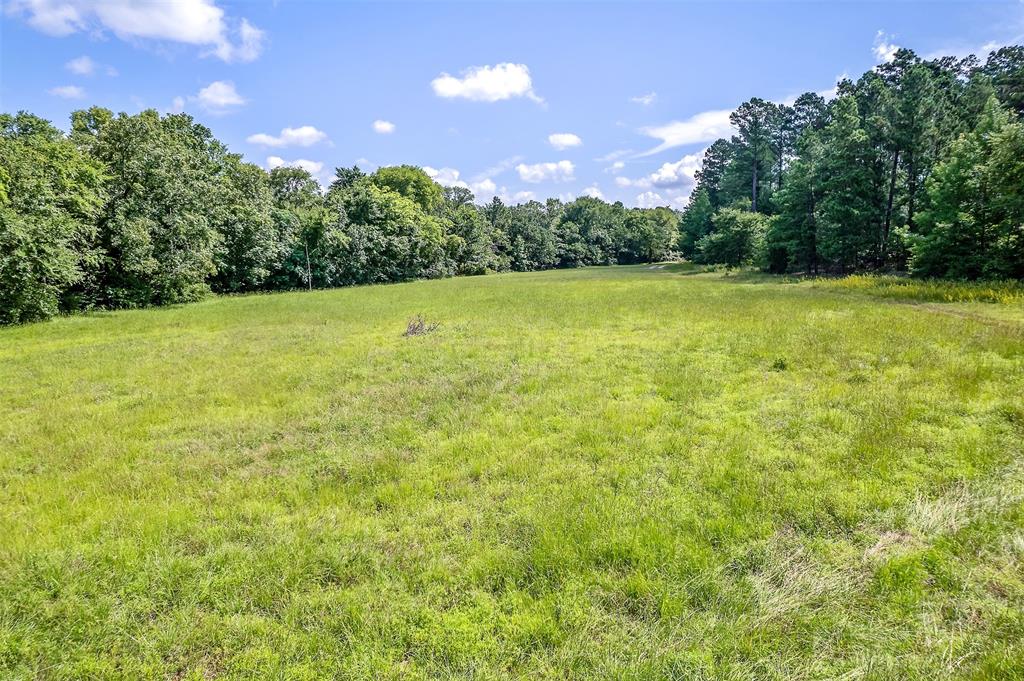 980 County Road 1705, Jacksonville, Texas image 8