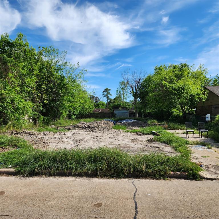 4535 Fallen Oaks Drive, Houston, Texas image 1