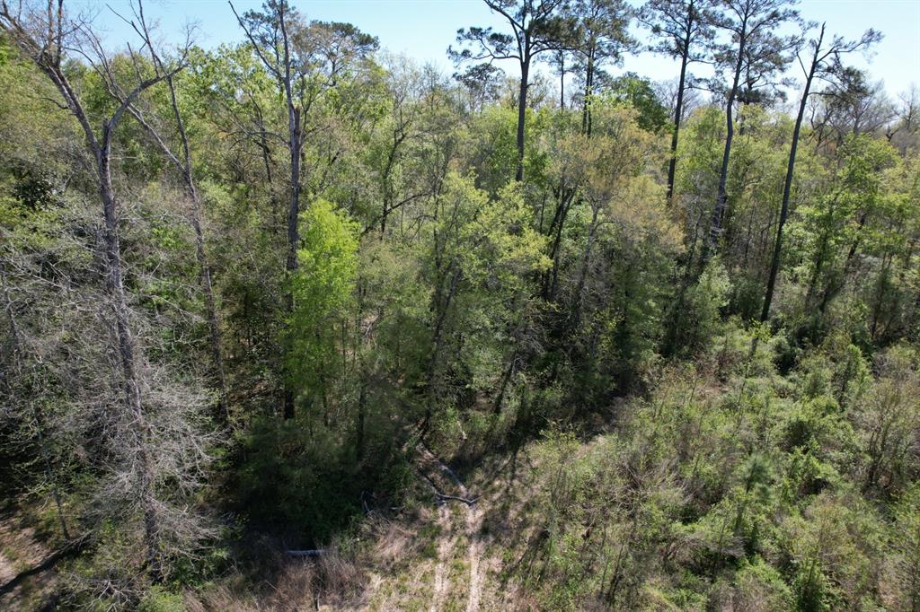 TBD County Road 4219, Orange, Texas image 7