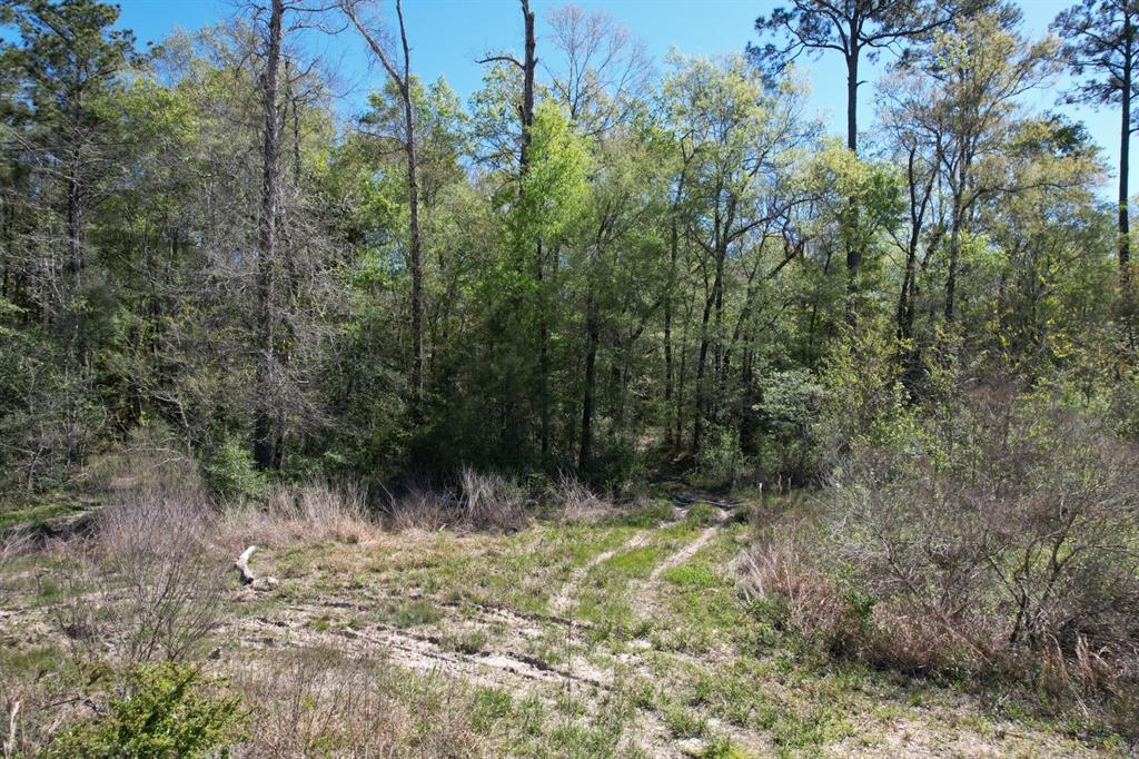 TBD County Road 4219, Orange, Texas image 9