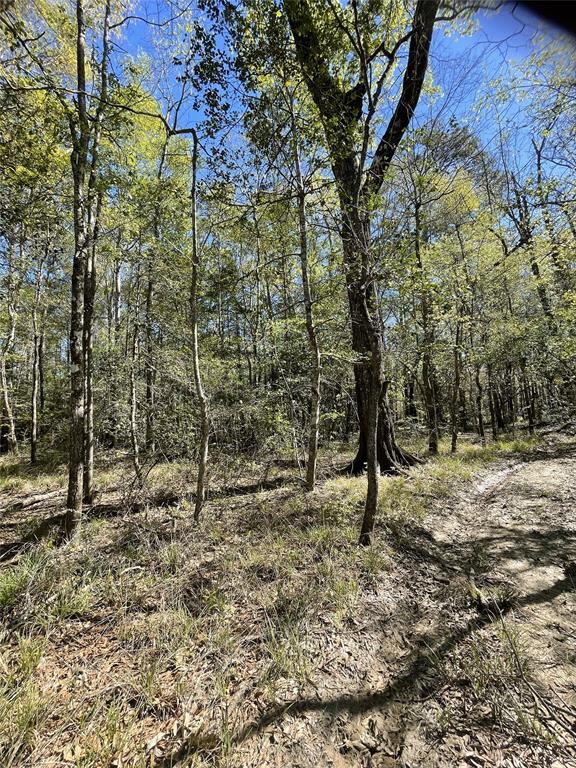 TBD County Road 4219, Orange, Texas image 11