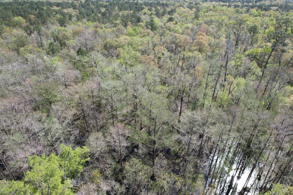 TBD County Road 4219, Orange, Texas image 4