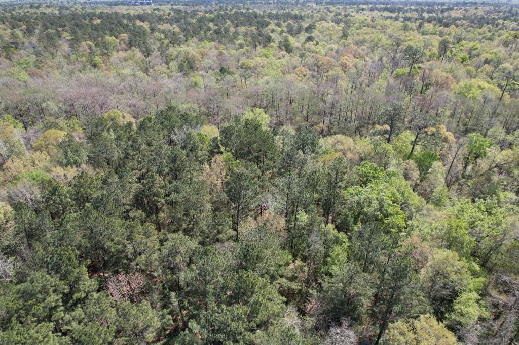 TBD County Road 4219, Orange, Texas image 3
