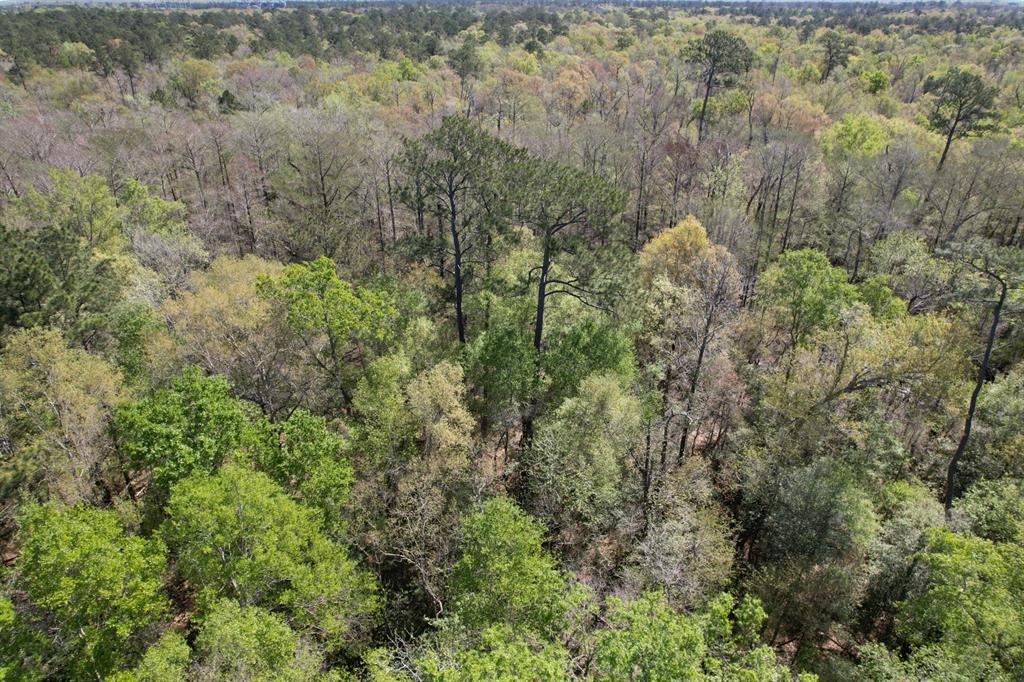 TBD County Road 4219, Orange, Texas image 8