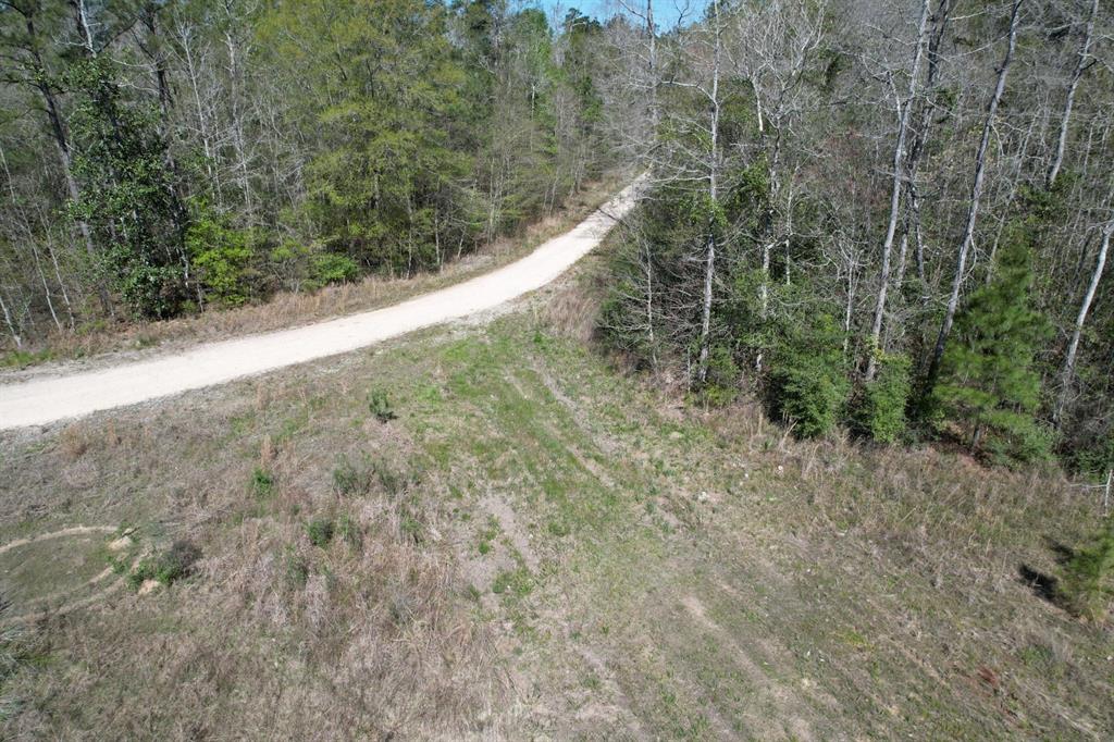 TBD County Road 4219, Orange, Texas image 6