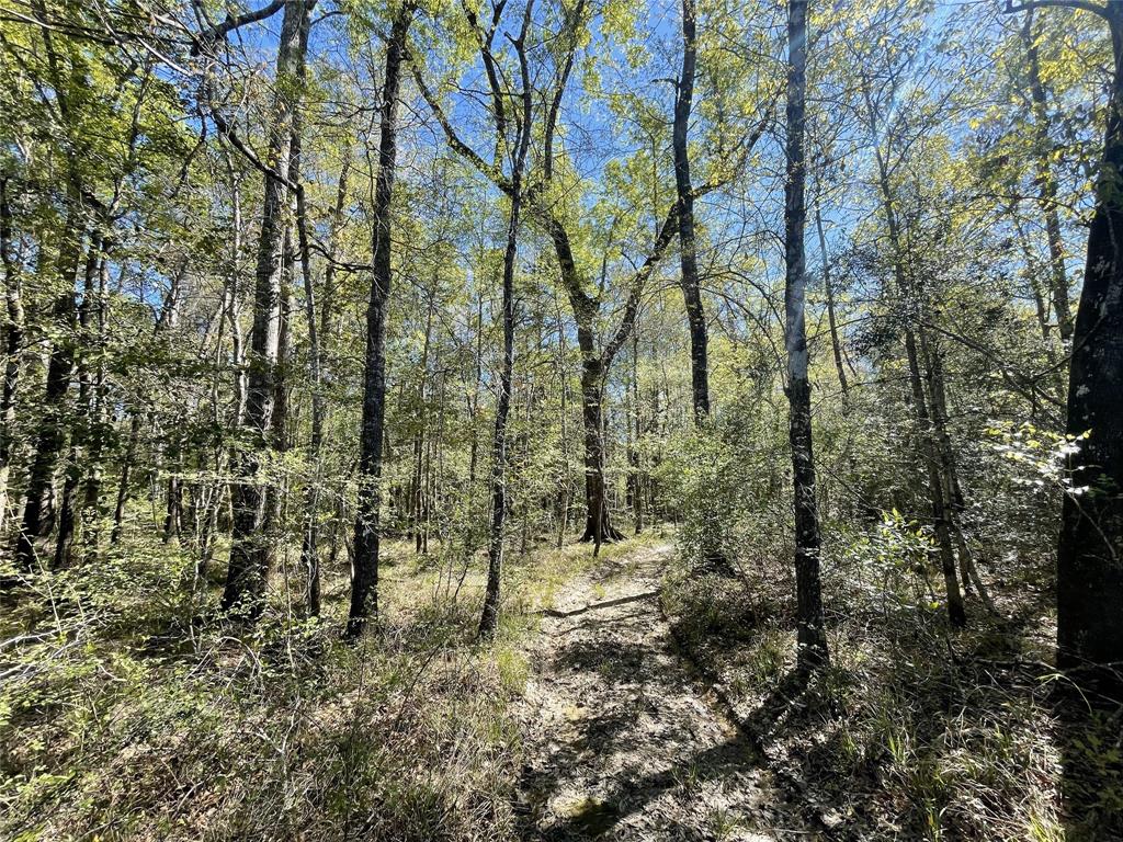 TBD County Road 4219, Orange, Texas image 10
