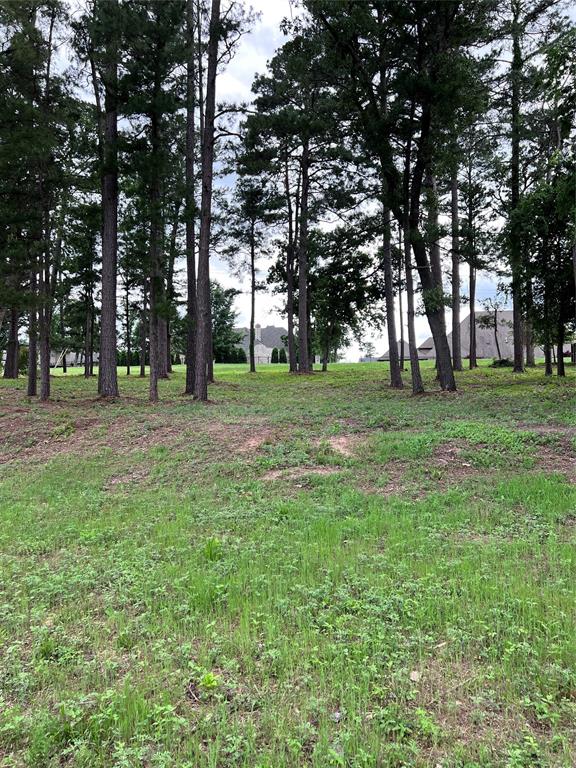 7125 Nottaway Drive, Tyler, Texas image 5
