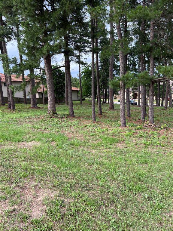 7125 Nottaway Drive, Tyler, Texas image 2