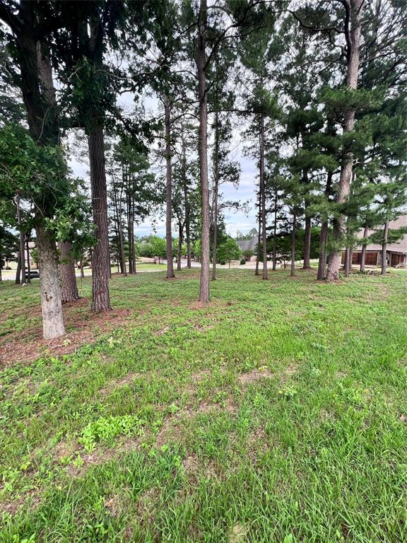 7125 Nottaway Drive, Tyler, Texas image 3