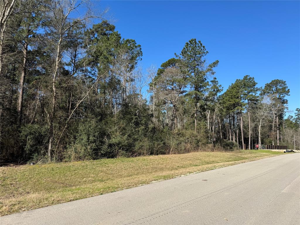 15-34-51 Alamo Drive, Huntsville, Texas image 9