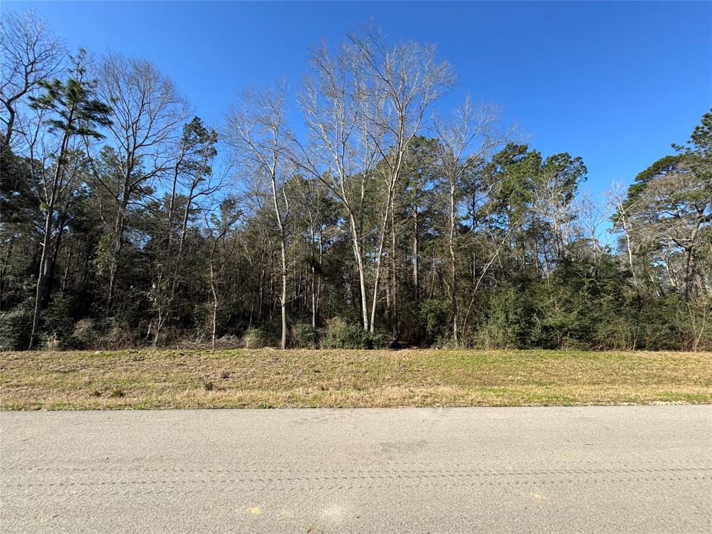 15-34-51 Alamo Drive, Huntsville, Texas image 10