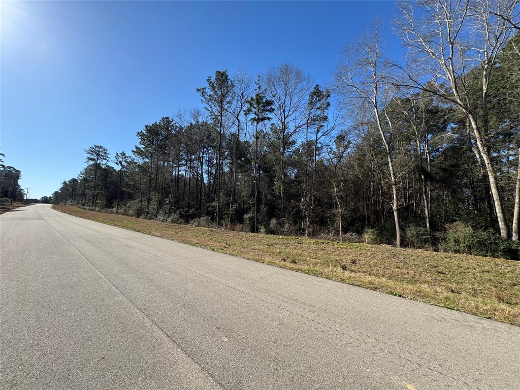 15-34-51 Alamo Drive, Huntsville, Texas image 11
