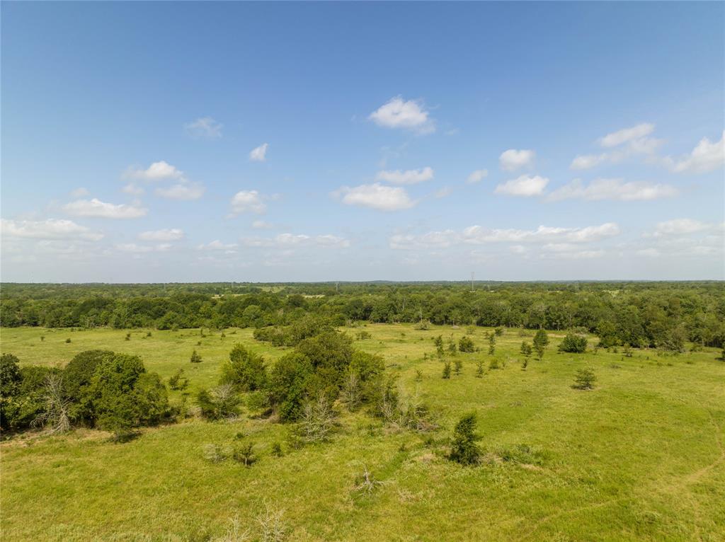 Fm 2620, Bedias, Texas image 11