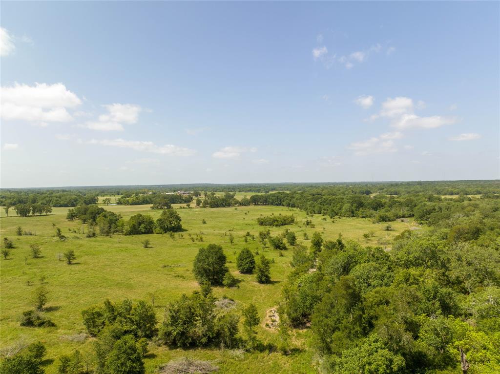 Fm 2620, Bedias, Texas image 10