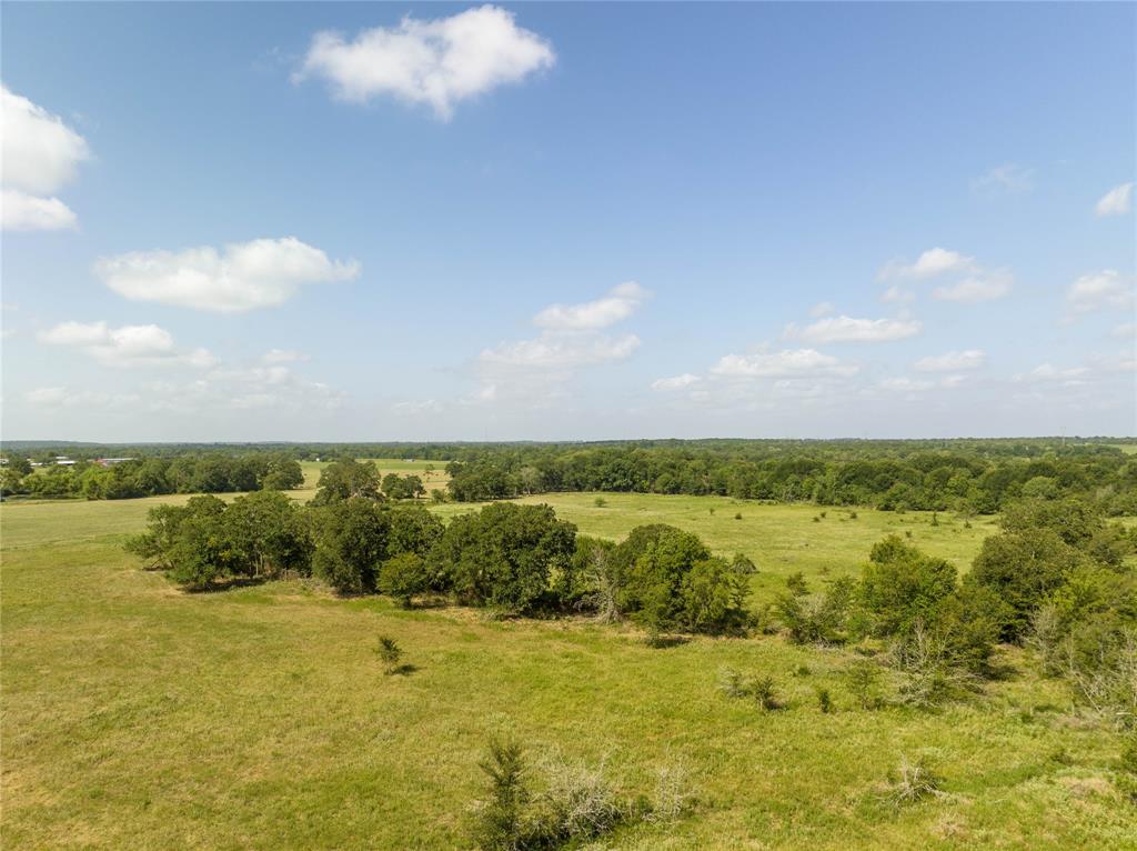 Fm 2620, Bedias, Texas image 7