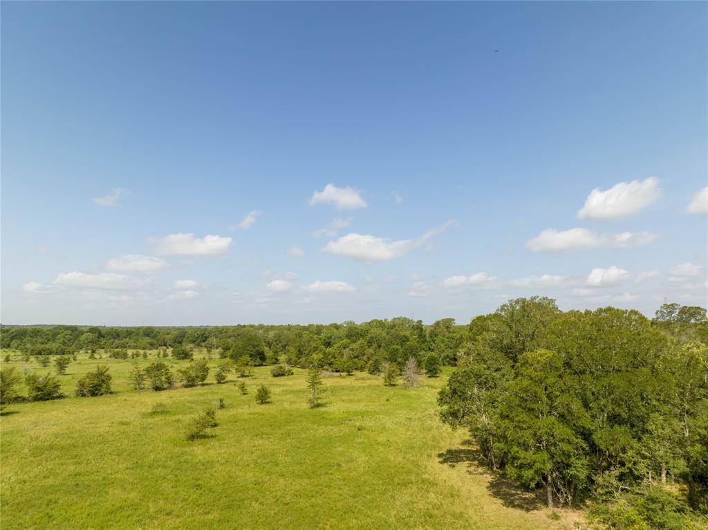 Fm 2620, Bedias, Texas image 5