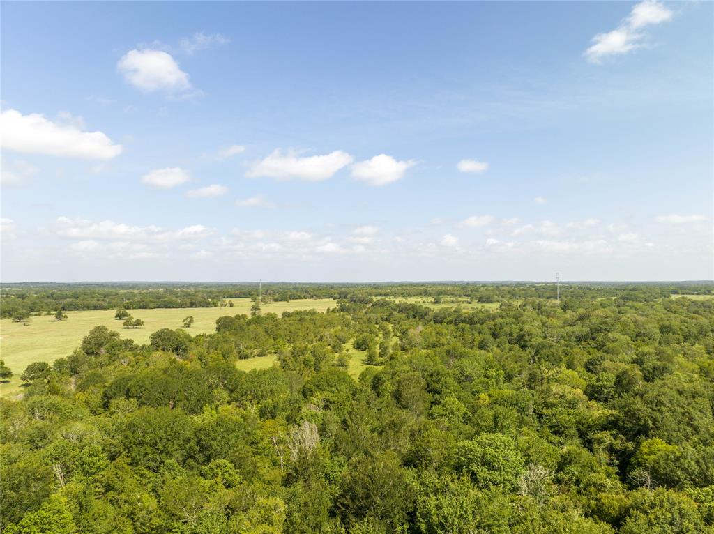 Fm 2620, Bedias, Texas image 8