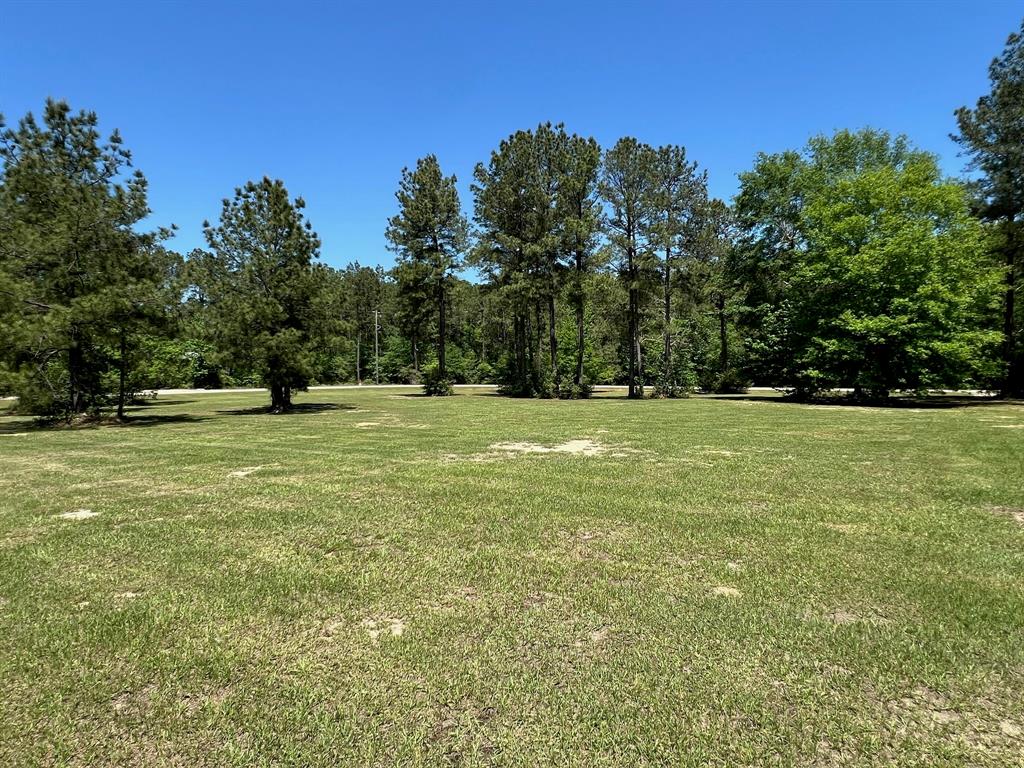 4324 Holstein Drive, Cleveland, Texas image 29