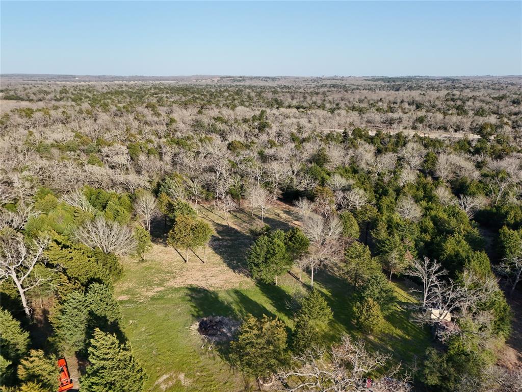 260 Private Road 3894, Marquez, Texas image 26