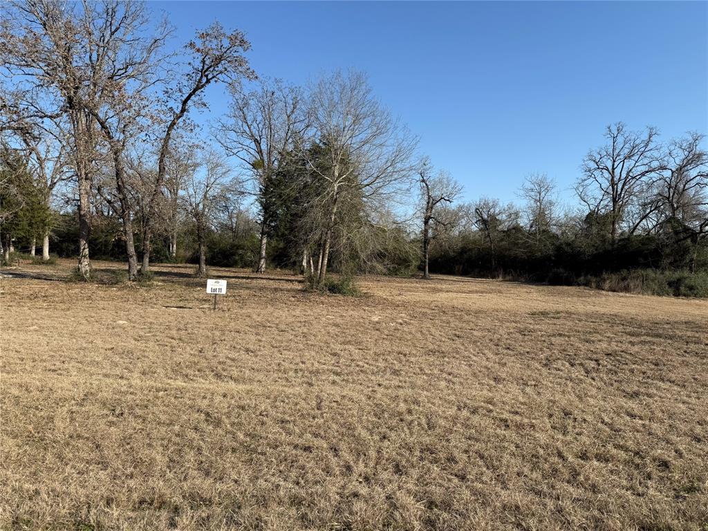 260 Private Road 3894, Marquez, Texas image 4