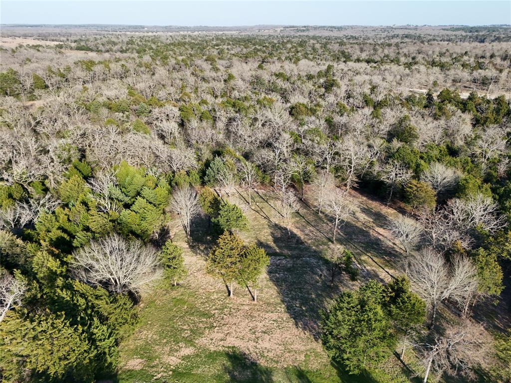 260 Private Road 3894, Marquez, Texas image 27